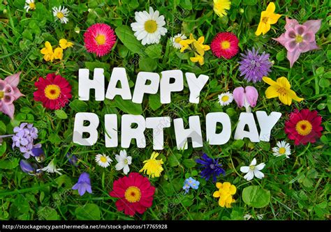 happy birthday bild blumen|Happy Birthday Blumen